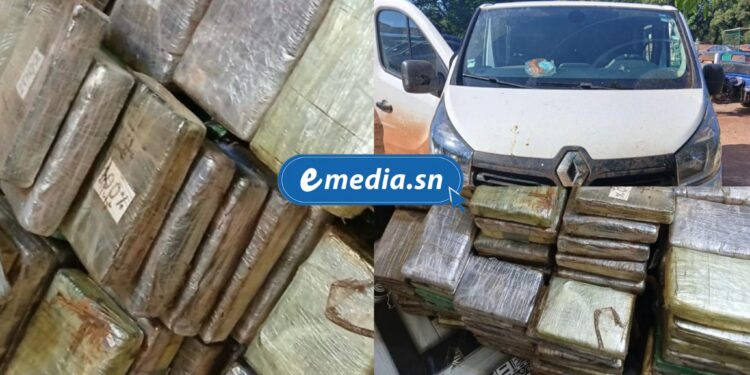 Kalifourou : 272 kg de cocaïne saisis, d’une valeur de 21,78 milliards FCFA<br> 1 InCollage 20250917 211042435