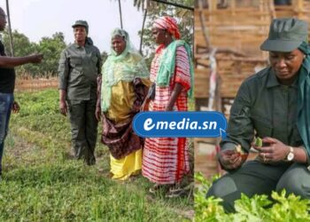 Saré Keïta : des jeunes prêts à tourner la page de l’émigration clandestine, mais en quête de soutien pour un véritable retour à la terre 1 InCollage 20250918 090751021