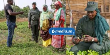 InCollage 20250918 090751021