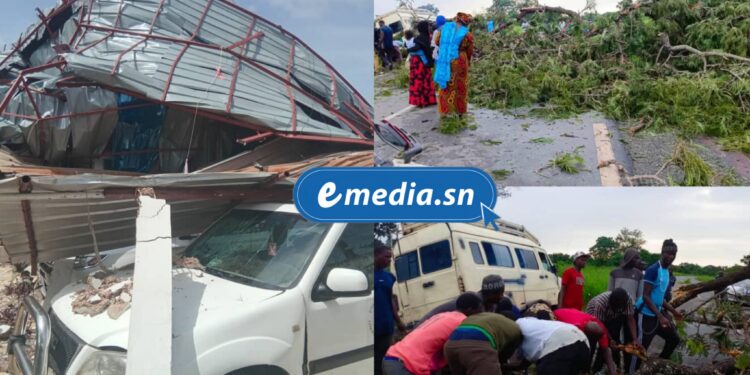 InCollage 20250918 122601667