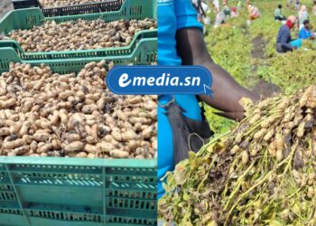 InCollage 20250924 112433563