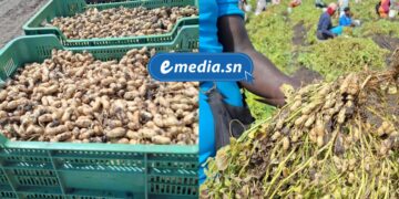 InCollage 20250924 112433563