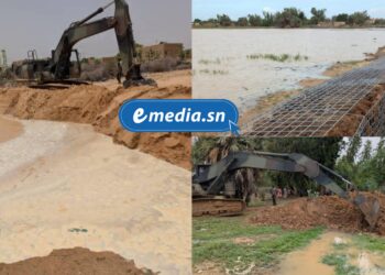 Lutte contre les inondations : le génie militaire en renfort dans les zones à risque de Matam et Podor 2 InCollage 20250925 210523733