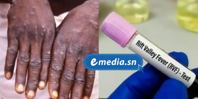 Le Sénégal face à deux épidémies : la Mpox à Dakar et la Fièvre de la Vallée du Rift à Saint-Louis 1 InCollage 20250930 085209921