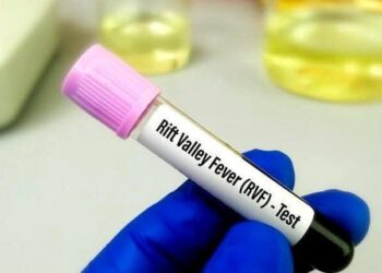 Fièvre de la Vallée du Rift : 12 nouveaux cas enregistrés au Sénégal, la situation reste sous surveillance 2 FB IMG 1760635338103 1