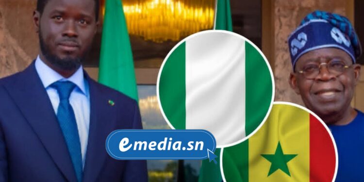 Sénégal : la raffinerie de Dakar dépend du brut nigérian malgré le début de la production nationale 1 InCollage 20251003 111812203