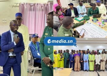 Lancement de la phase 2 du projet "Reverdir l’Afrique" : une nouvelle dynamique pour la résilience climatique au Sahel 1 InCollage 20251006 123139324