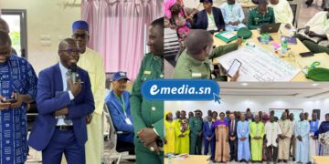 Lancement de la phase 2 du projet "Reverdir l’Afrique" : une nouvelle dynamique pour la résilience climatique au Sahel 8 InCollage 20251006 123139324