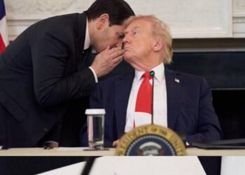 Israël et le Hamas acceptent la première phase du plan de paix de Donald Trump pour Gaza 1 InCollage 20251008 232328158