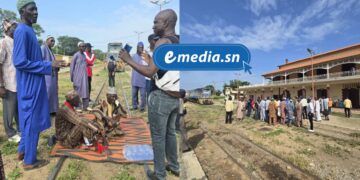 InCollage 20251013 124229019