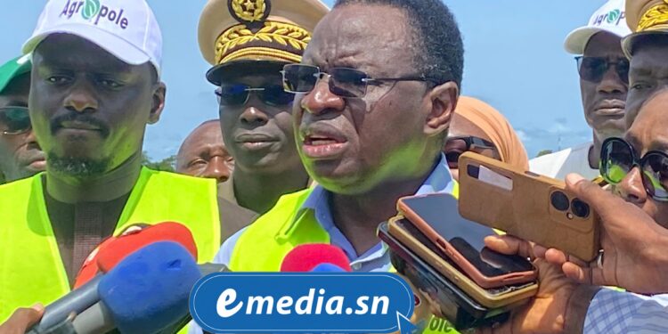 Dr Serigne Gueye Diop annonce l’inauguration de l’Agropole Sud en janvier 2026 et promet 30 000 emplois directs 1 InCollage 20251014 174709616