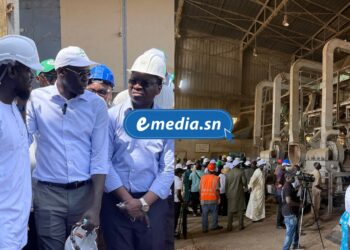 Ziguinchor : la Sonacos en pleine relance, l'État annonce une modernisation en profondeur 2 InCollage 20251015 095436720