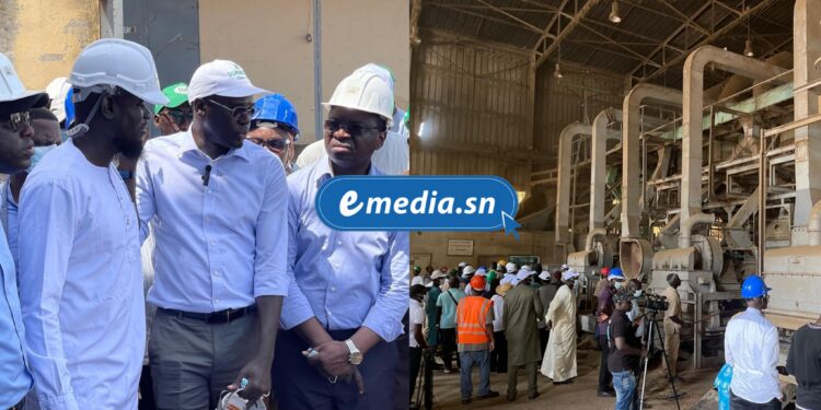 Ziguinchor : la Sonacos en pleine relance, l'État annonce une modernisation en profondeur 1 InCollage 20251015 095436720