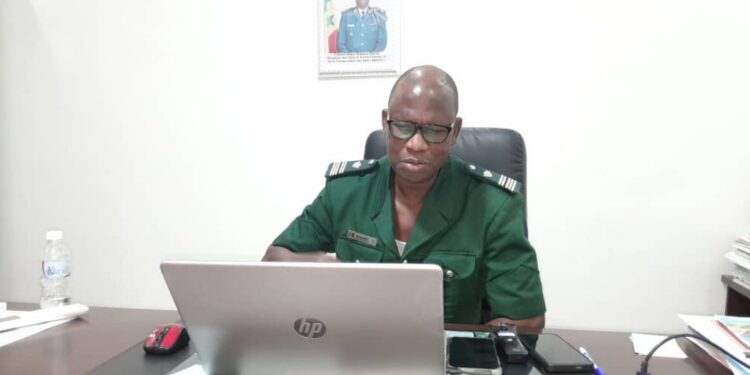 Lutte contre la déforestation : plus de 55 000 arbres plantés à Tambacounda en 2025 1 InCollage 20251016 091828824