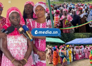 Usoforal Célèbre la Journée Internationale de la Femme Rurale à Boutoupa Camaracounda : Mettre en lumière les défis et opportunités des femmes de Casamance 2 InCollage 20251017 100609340