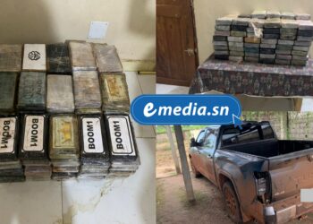 Saisie de 115 kg de cocaïne à Kalifourou, d’une valeur de 9,2 milliards FCFA, par les Douanes<br> 1 InCollage 20251019 183426854