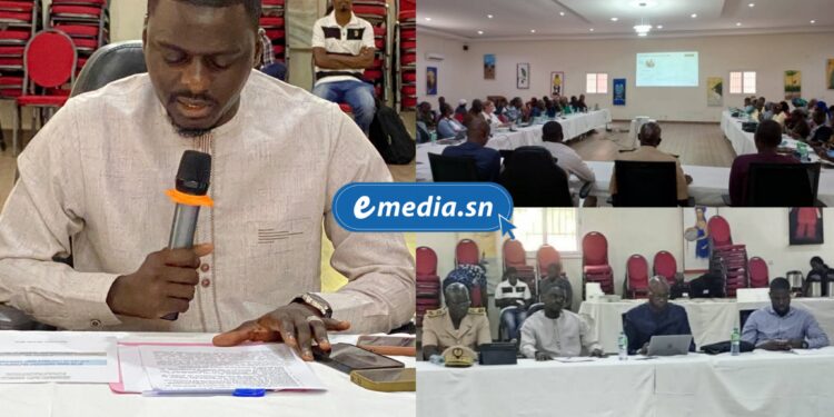 InCollage 20251023 123938673