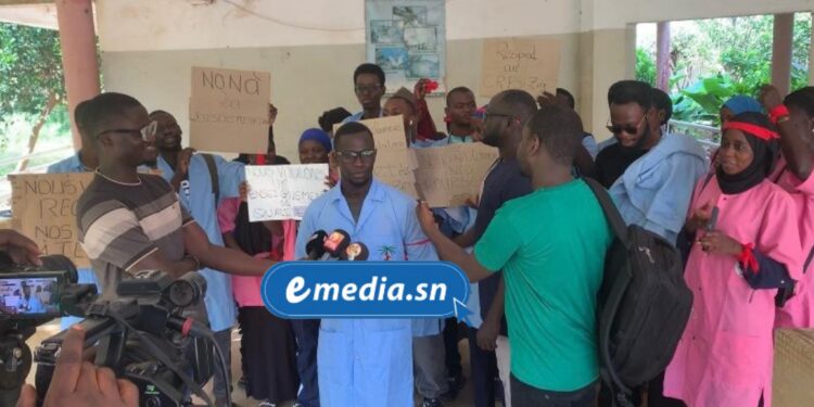 Ziguinchor : les étudiants du Centre de Formation en Santé dénoncent six mois d’arriérés de bourses et suspendent les cours 1 InCollage 20251028 105808416