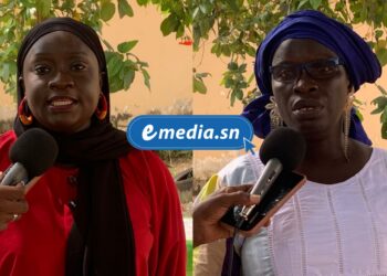Les femmes de Casamance en synergie pour renforcer leur réseau et stimuler le développement local 2 InCollage 20251028 173654457