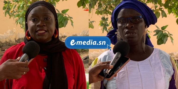 Les femmes de Casamance en synergie pour renforcer leur réseau et stimuler le développement local 1 InCollage 20251028 173654457