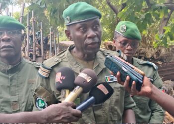 Vélingara : la lutte contre la coupe illégale de bois s’intensifie 2 InCollage 20251031 141038096