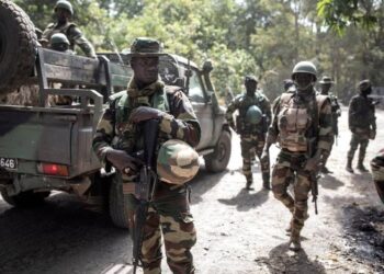 FB IMG 1762894704839