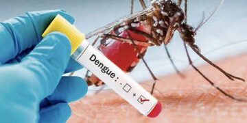 FB IMG 1763628802332