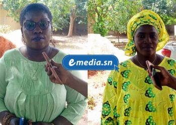 InCollage 20251104 115814418