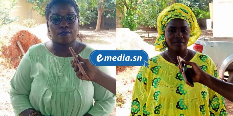 InCollage 20251104 115814418