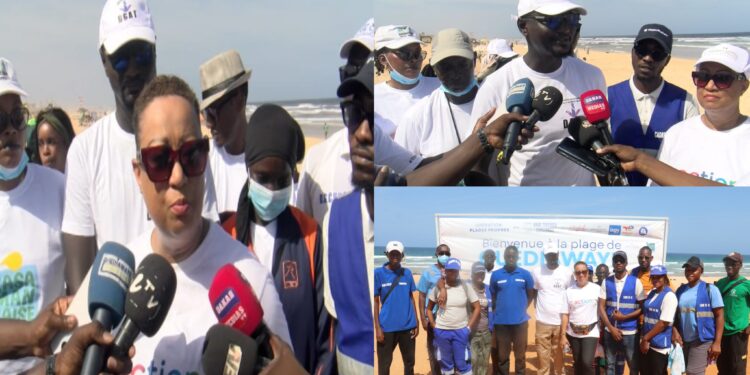 Opération « Plage Propre » : Alphabet Goodies & Services mobilise à Malibu et Malika pour un littoral plus sain 1 InCollage 20251104 213529452