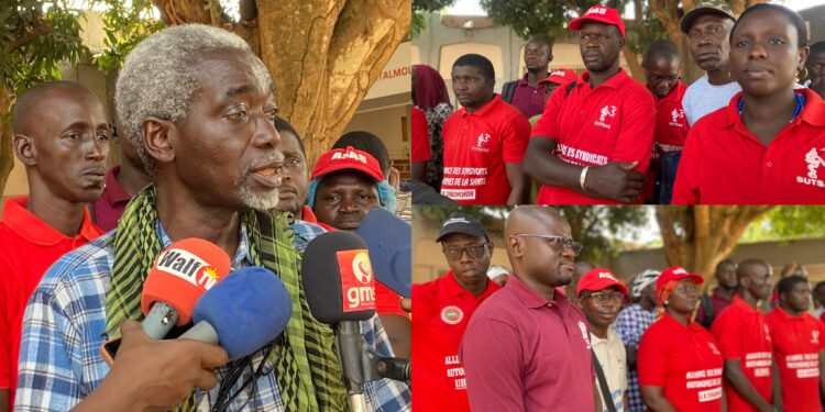 InCollage 20251105 134621103