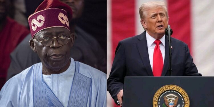 Le Nigeria rejette sa désignation par les États-Unis comme pays à risque pour la liberté religieuse 1 InCollage 20251106 095703458