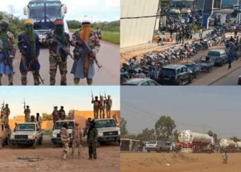 InCollage 20251110 111559522