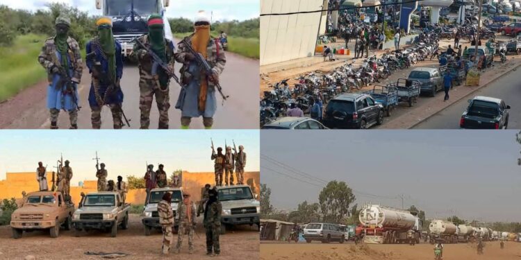 InCollage 20251110 111559522