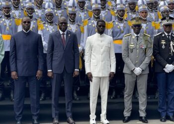 InCollage 20251110 135005666