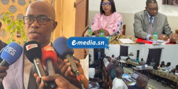 InCollage 20251110 141617766