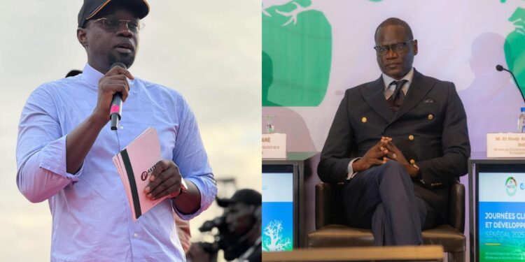 InCollage 20251111 083400053