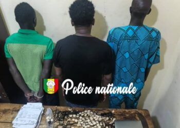 InCollage 20251112 110029157