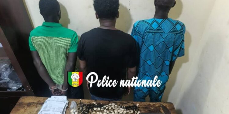 InCollage 20251112 110029157