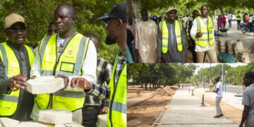 InCollage 20251112 132124227