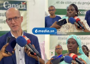 InCollage 20251113 124310180