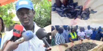 InCollage 20251117 131411061