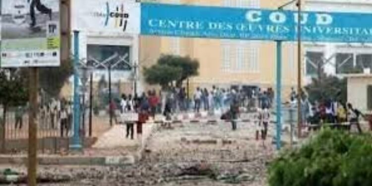 Nouvelles tensions à l’UCAD : heurts entre étudiants et forces de l’ordre autour du paiement des bourses 1 InCollage 20251118 082611447
