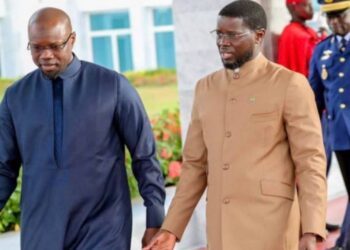 InCollage 20251119 075252067