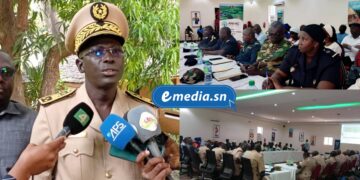 InCollage 20251119 164442036