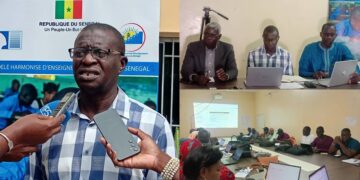 InCollage 20251120 093704665