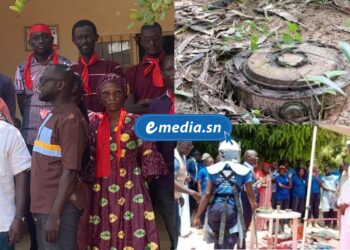 InCollage 20251121 085814570