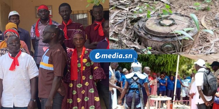 InCollage 20251121 085814570