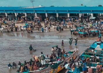 InCollage 20251121 132022725