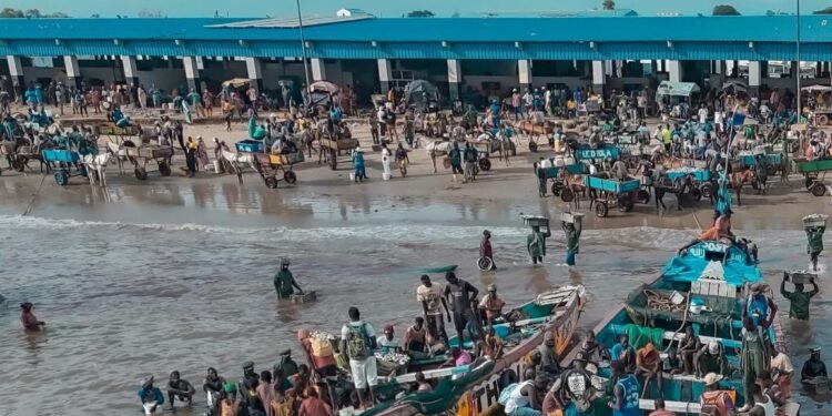 InCollage 20251121 132022725